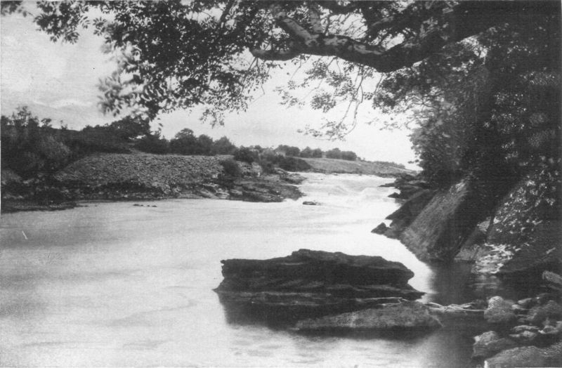 RIVER ERNE, BELLEEK.